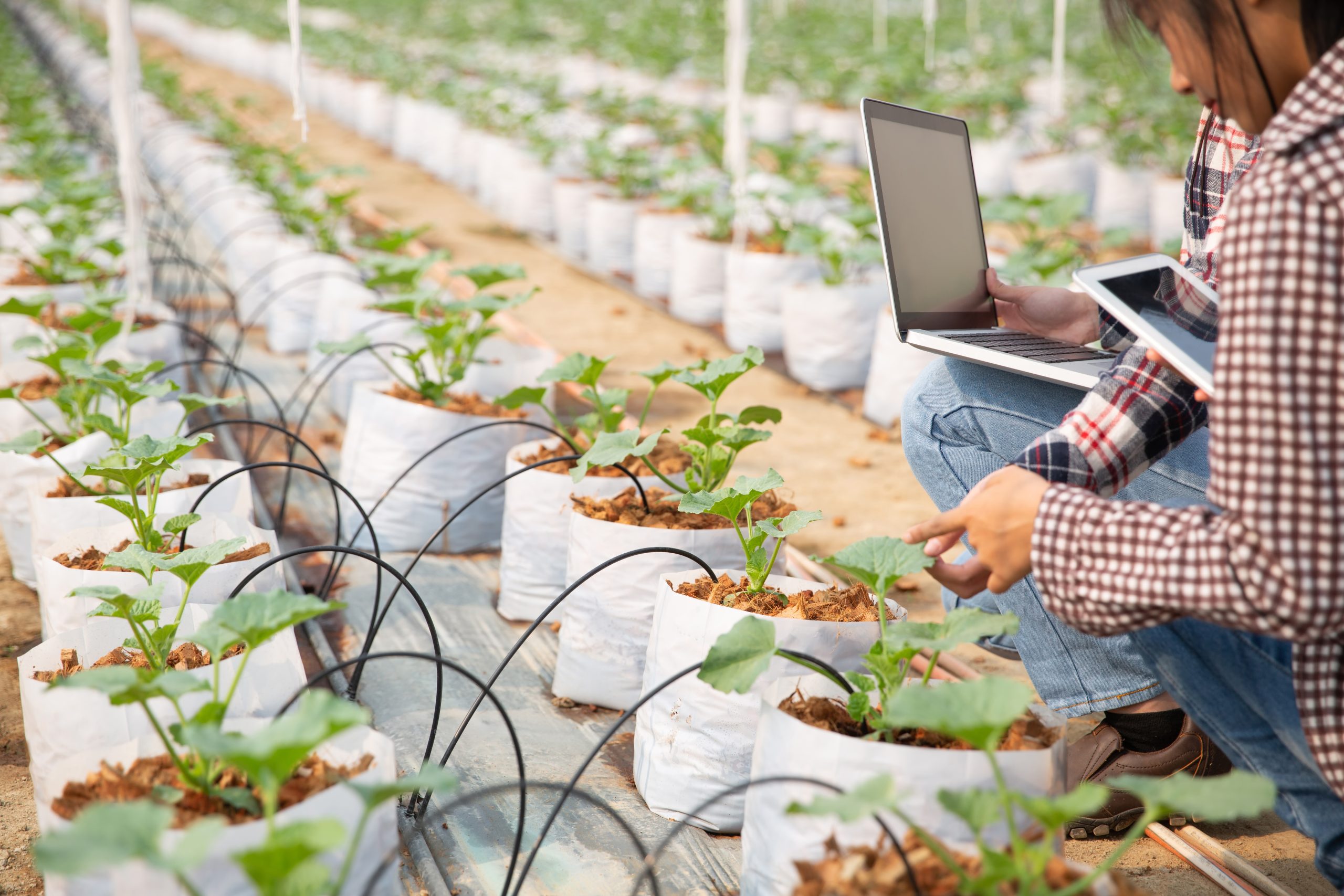 Agricultural Tech's Role in Sustainable Food Production | agricultural, tech