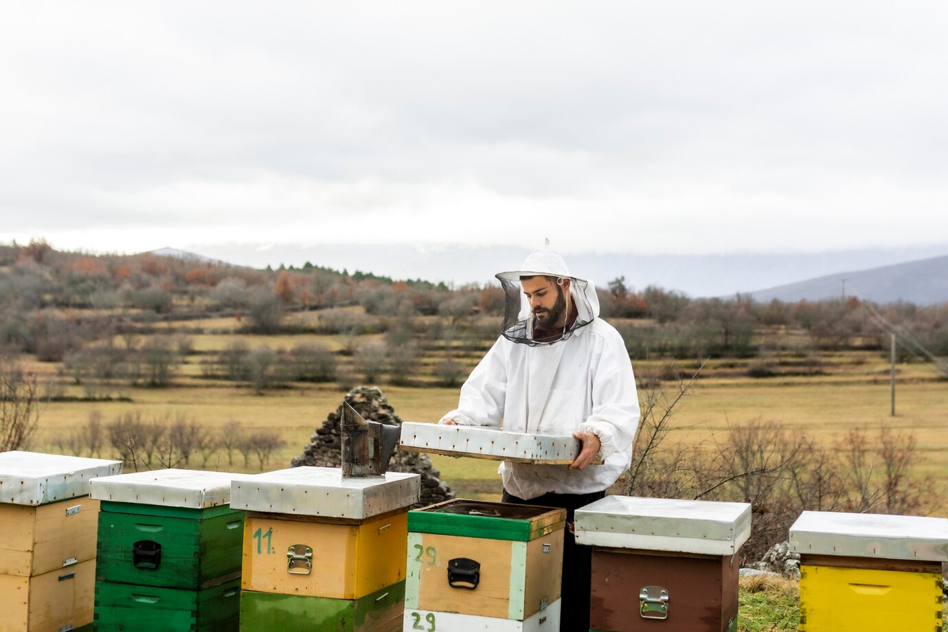Artificial Pollinators for Sustainable Agriculture | agriculture, technology