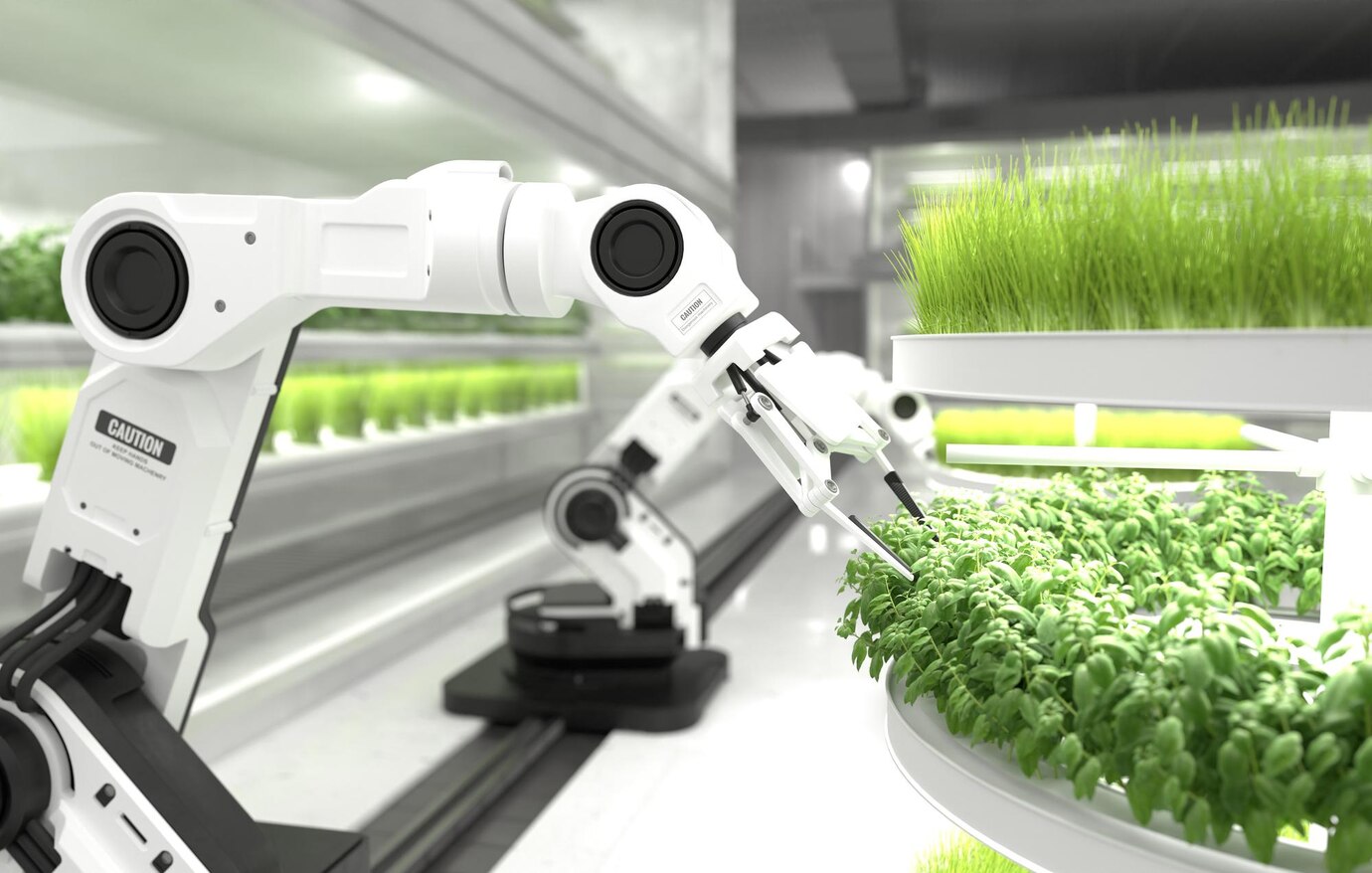 How Precision Farming and AI are Transforming Food Production | ai, food