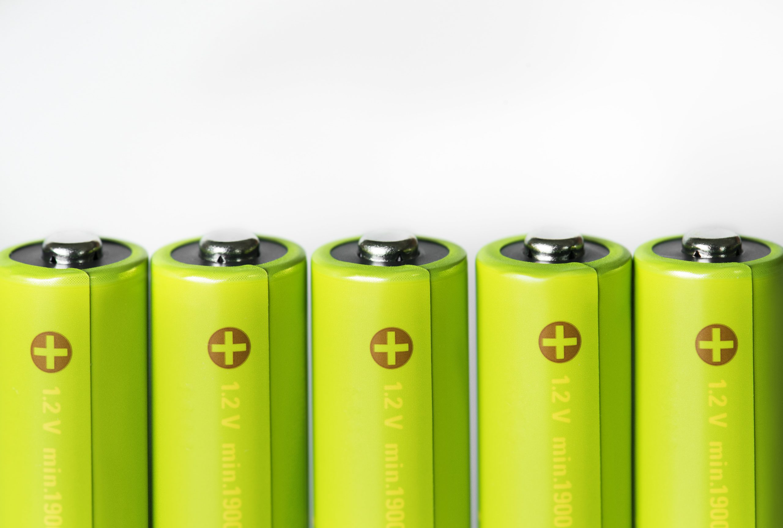 Plant-Based Batteries: Growing Energy Storage Solutions | Plant-Based Batteries, Energy Storage Solutions